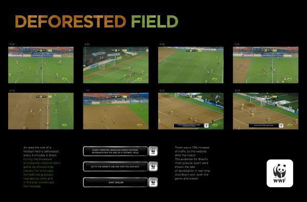 Deforested Field: