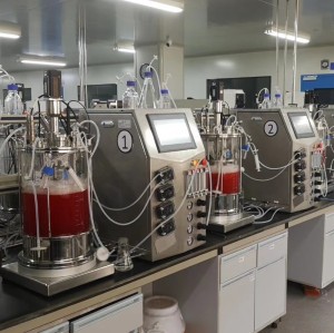 Benchtop Cell bioreactor industrial Fermenter For Microbial Cell Culture