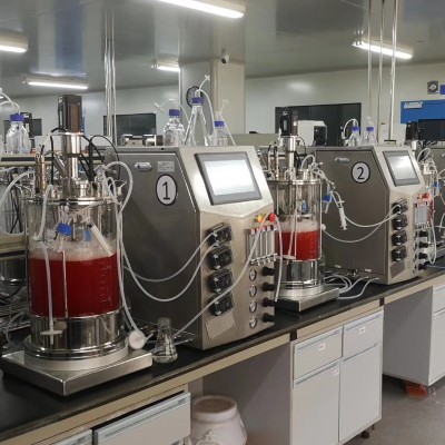 Benchtop Cell bioreactor industrial Fermenter For Microbial Cell Culture