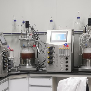 Benchtop Cell bioreactor industrial Fermenter For Microbial Cell Culture