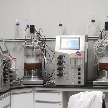 Benchtop Cell bioreactor industrial Fermenter For Microbial Cell Culture