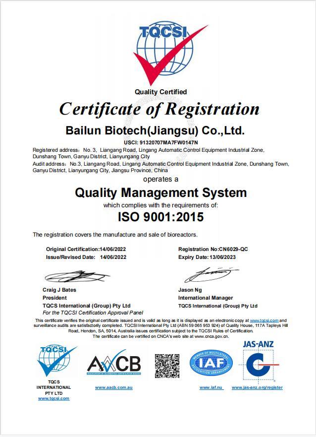 ISO 9001