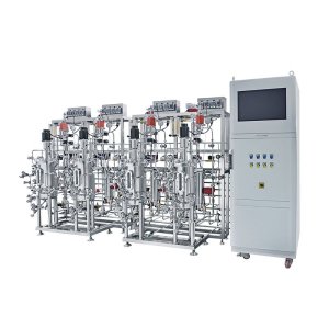 200l Industrial Batch Fermentation Bioreactor For Microbiology ss fermenter