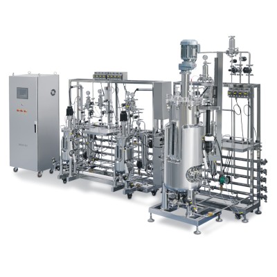 International Technology Cell Culture Bioreactor stirred bioreactor