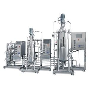 International Technology Cell Culture Bioreactor stirred bioreactor
