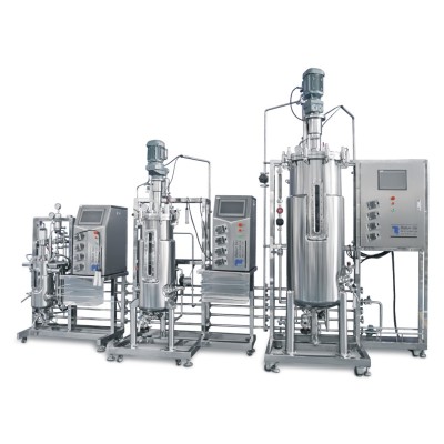 International Technology Cell Culture Bioreactor stirred bioreactor