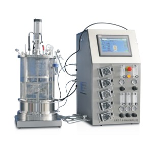 200l Bioreactor Stainless Steel Bioreactor bioreactor microbial fermenters