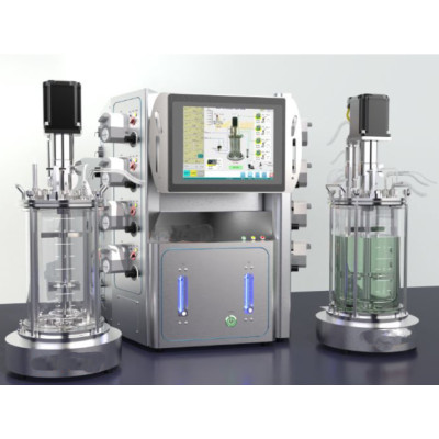Lab Fermentation Bioreactor algae Bioreactor mini Bioreactor stainless fermenter