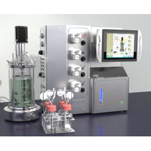 Lab Fermentation Bioreactor algae Bioreactor mini Bioreactor stainless fermenter