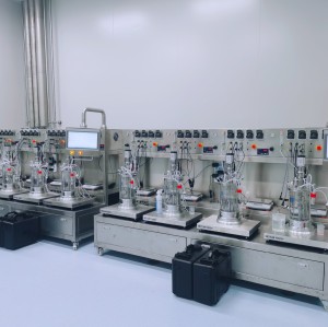 Stainless Steel For Microorganism Cultivation Bioreactor bioreactor manufacturers