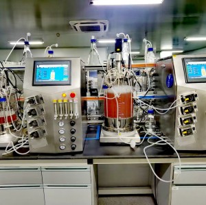 Cell Culture Bioreactors