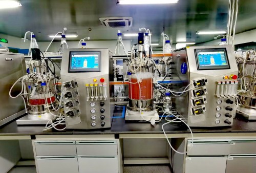 Cell Culture Bioreactors