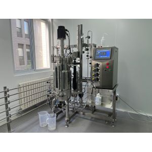 Stainless steel fermenter for microbacteria culture Bio Fermenter