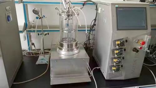 Lab Fermenter Manufacturers with Glass Fluidized Bed Bioreactor Process 10L with Simple Structure and Low Failure Rate