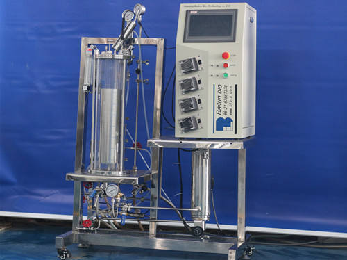 High quality glass fermenter mechanical stirring with BLBIO-GJ model which is suitable for mammalian cell and plant cell