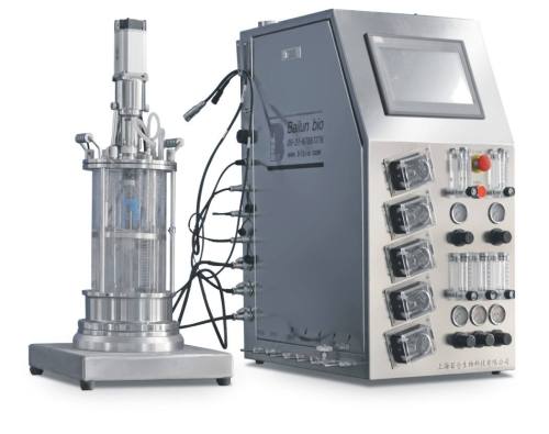 5 Litre glass bioreactor fermenting equipment bioreactor price fermentor laboratory fermenter BLBIO-GJ