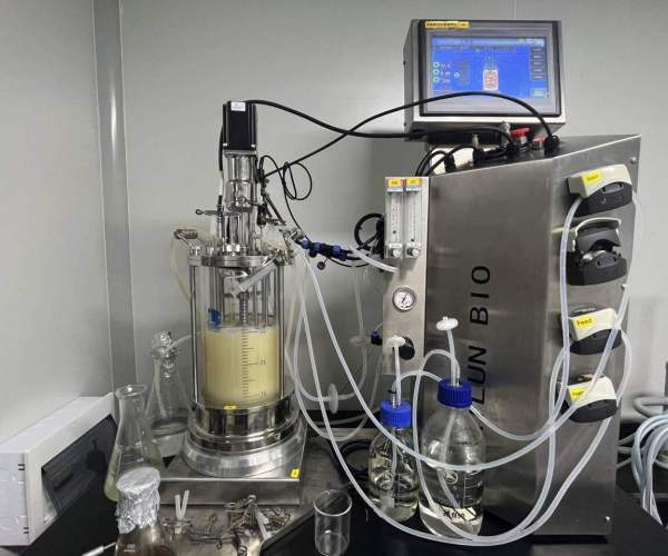 5 Litre glass small bioreactor fermenting equipment price fermentor laboratory fermenter