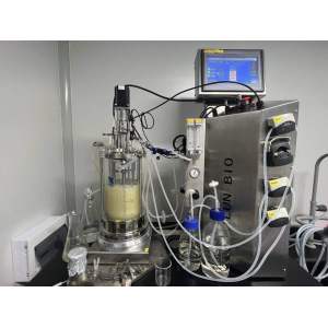 5 Litre glass small bioreactor fermenting equipment price fermentor laboratory fermenter