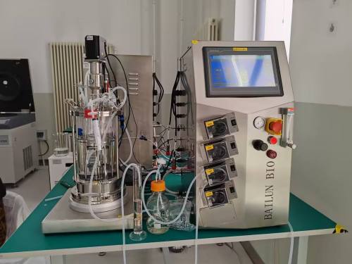 5 Litre glass bioreactor fermenting equipment bioreactor price fermentor laboratory fermenter BLBIO-GJ