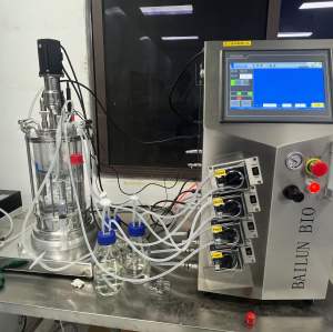 5 Litre glass bioreactor fermenting equipment bioreactor price fermentor laboratory fermenter BLBIO-GJ