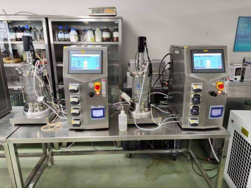 5 Litre glass bioreactor fermenting equipment bioreactor price fermentor laboratory fermenter BLBIO-GJ