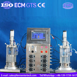 Customized glass 50 gallon fermenter mechanical stirring which is with powerful functions