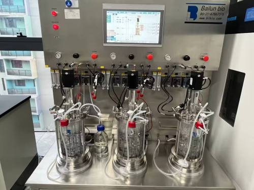 Customized glass fermenter mechanical stirring which is with powerful functions and can meet various purposes of fermentation