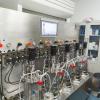 5L Quintuple glass bioreactor bio fermentation tank benchtop fermentor BLBIO-GJ