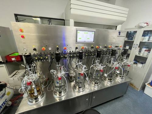 5L Quintuple glass bioreactor bio fermentation tank benchtop fermentor BLBIO-GJ