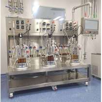 5L Triple glass fermenter bio fermentation tank benchtop bioreactor systems BLBIO-GJ