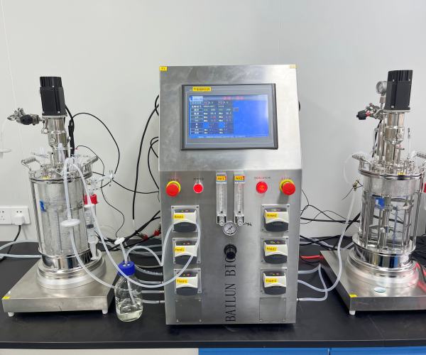 5L Double glass bioreactor mechanical stirring fermenter lab scale bioreactor stirred tank bioreactor