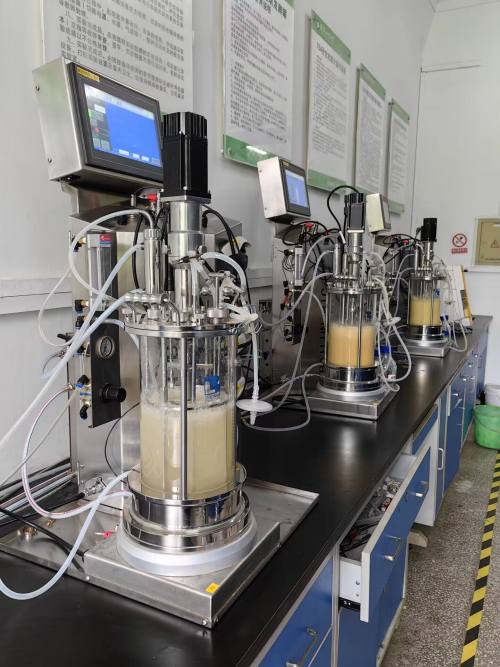 5L Double glass bioreactor mechanical stirring fermenter lab scale bioreactor stirred tank bioreactor