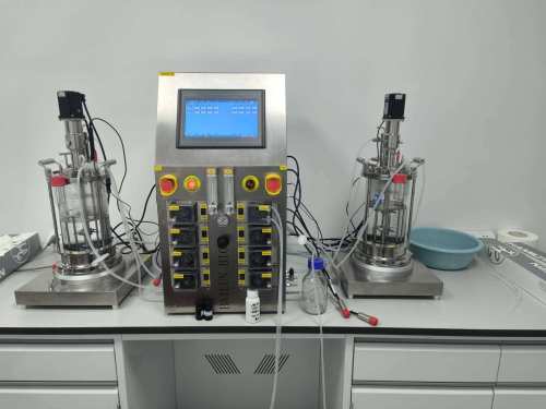 Lab glass bioreactor fermenter lab scale bioreactor small scale bioreactor