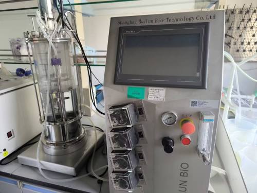 Lab glass bioreactor fermenter lab scale bioreactor small scale bioreactor