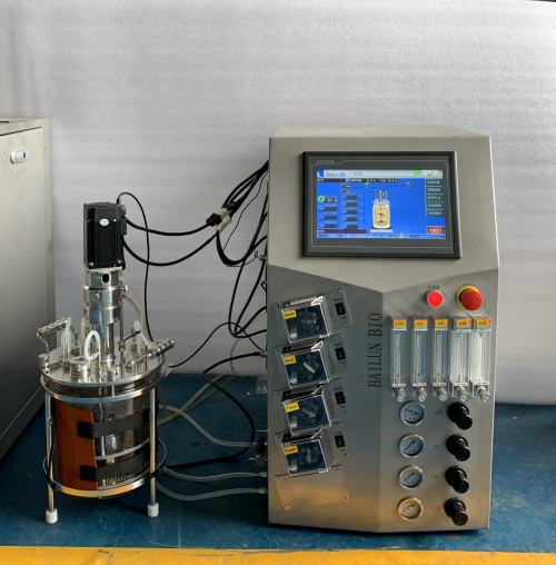 Bioreactor price ferment machine single-walled fermenter laboratory fermentor BLBIO-GJG