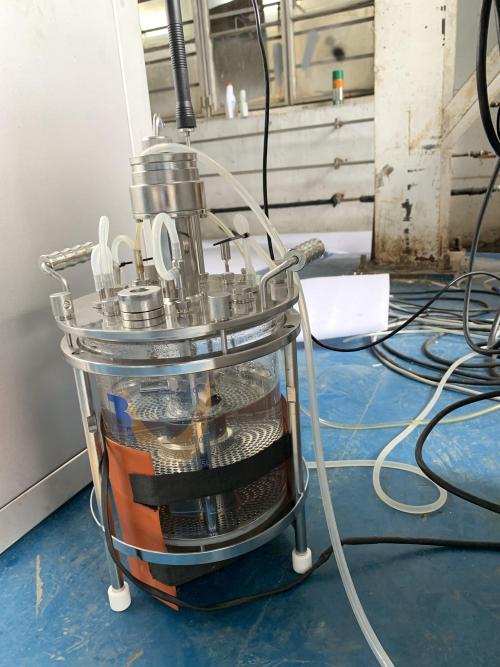 Bioreactor price ferment machine single-walled fermenter laboratory fermentor BLBIO-GJG