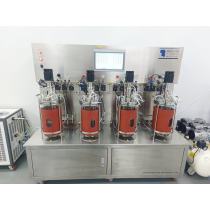 Bioreactor price ferment machine single-walled fermenter laboratory fermentor BLBIO-GJG