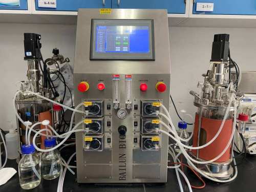 Bioreactor price ferment machine single-walled fermenter laboratory fermentor BLBIO-GJG