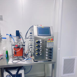 glass vessel used in laboratory glass microreactor stirred tank stirred type bioreactor