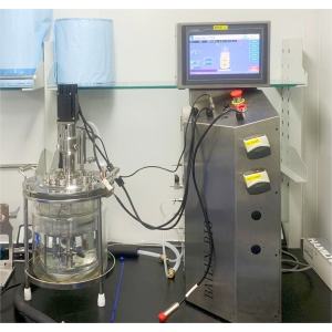 Single wall all glass fermentation tank membrane bioreactor type is simple and convenient