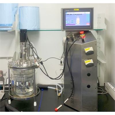 Single wall all glass fermentation tank membrane bioreactor type is simple and convenient