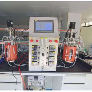 Glass fermenter single wall with stirred tank bioreactor model suitable