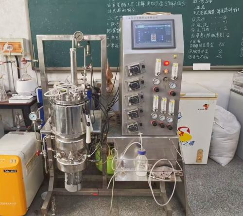 Fermentor bioreactor bath autoclave sterilizer sterilizing process fermenter BLBIO-GJAV