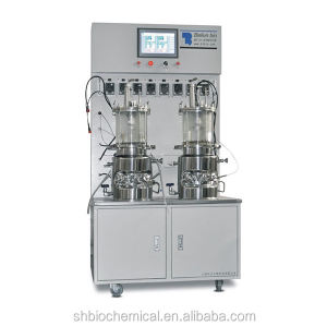 Fermentor bioreactor bath autoclave sterilizer sterilizing process fermenter BLBIO-GJAV