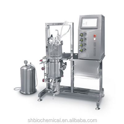 Fermentor bioreactor bath autoclave sterilizer sterilizing process fermenter BLBIO-GJAV