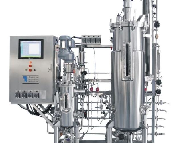 BLBIO Large Mechanical Stirred Stainless Steel Bioreactor