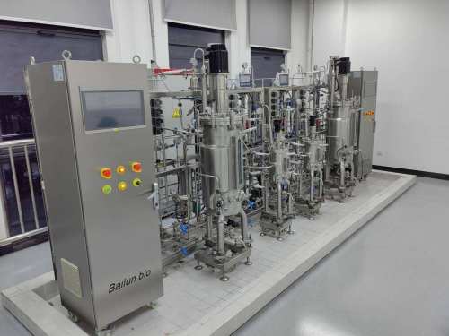 BLBIO Large Mechanical Stirred Stainless Steel Bioreactor