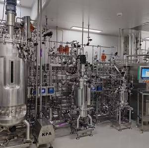 BLBIO Large Mechanical Stirred Stainless Steel Bioreactor