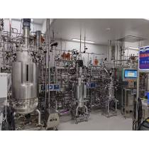 magnetic stirrer bioreactor fermenter mixing tank autoclave sterilization machine BLBIO-SCA