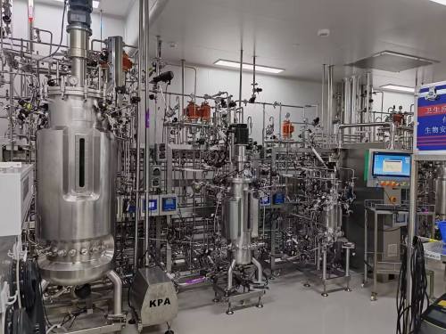 BLBIO Large Mechanical Stirred Stainless Steel Bioreactor